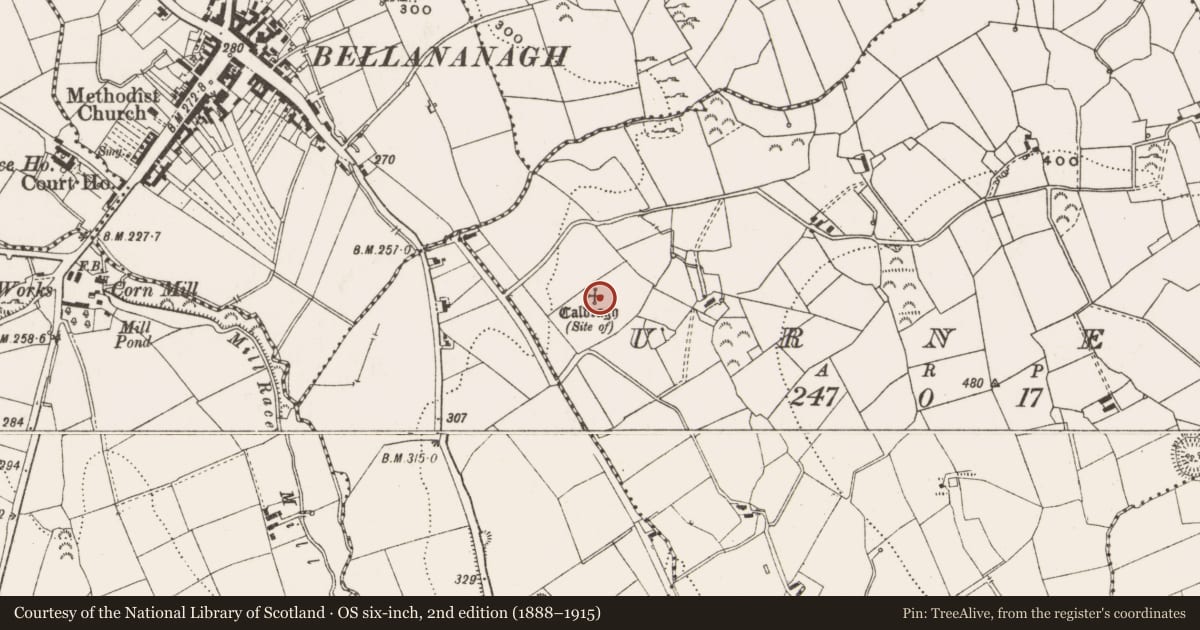 Ordnance Survey six-inch map, 2nd edition (1888–1915) covering the location of Children's burial ground, Urney, County Cavan, with a pin at the register's coordinates