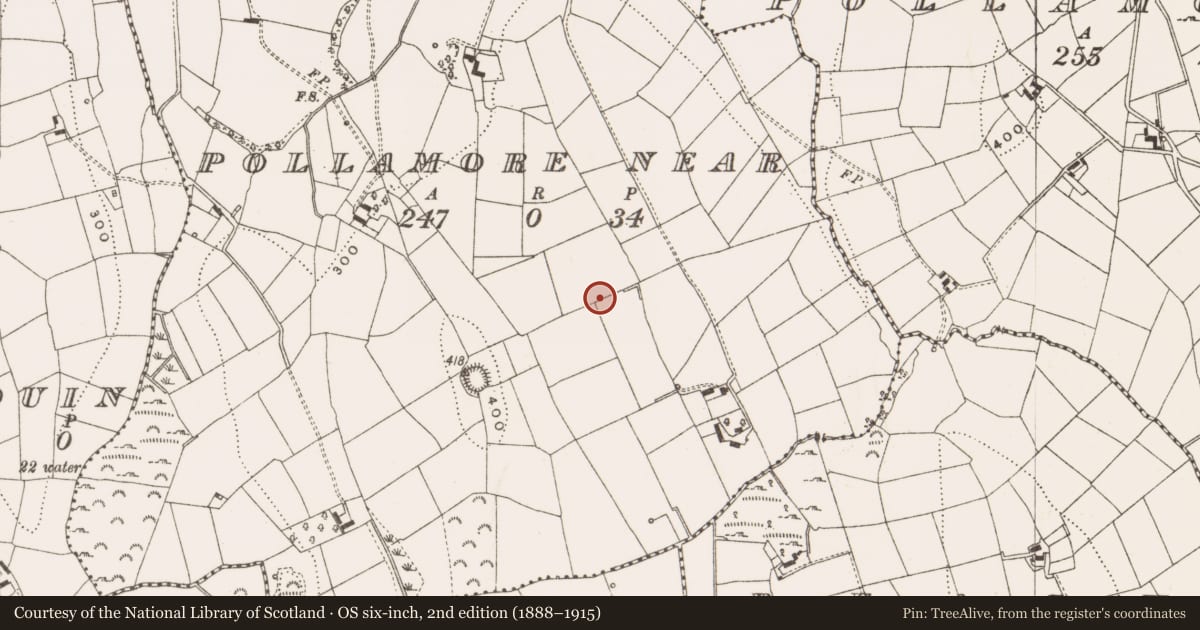 Ordnance Survey six-inch map, 2nd edition (1888–1915) covering the location of Ringfort - rath, Pollamore Near, County Cavan, with a pin at the register's coordinates