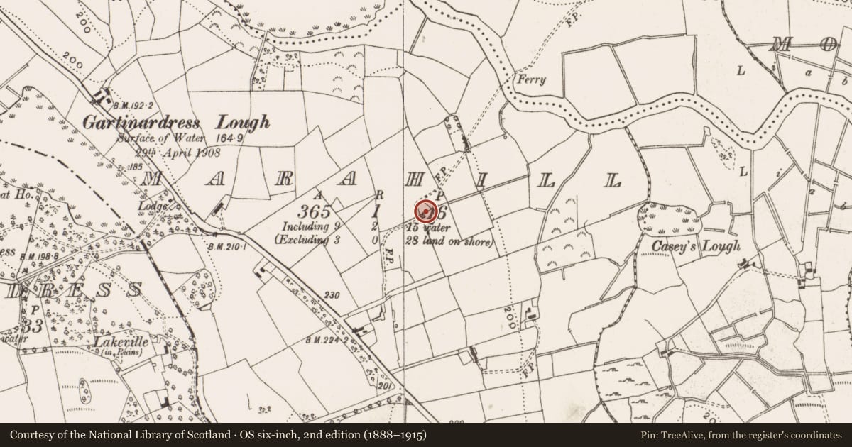 Ordnance Survey six-inch map, 2nd edition (1888–1915) covering the location of Enclosure, Marahill, County Cavan, with a pin at the register's coordinates