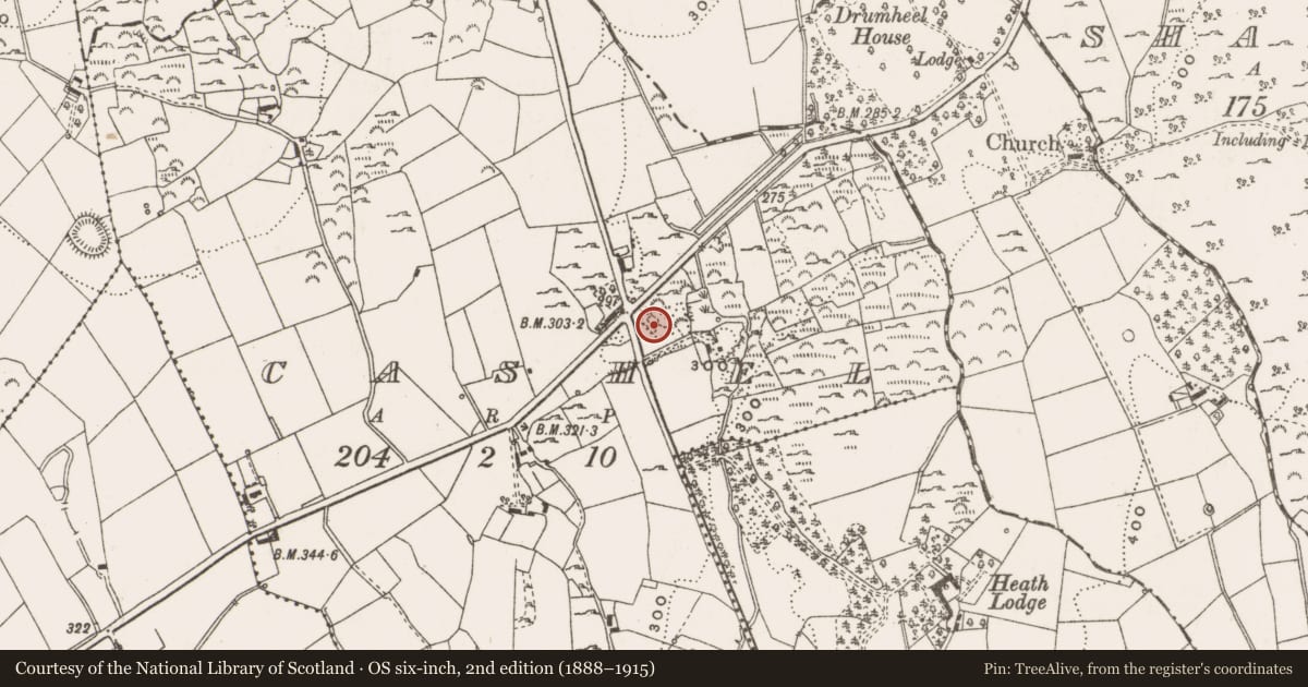 Ordnance Survey six-inch map, 2nd edition (1888–1915) covering the location of Church, Cashel, County Cavan, with a pin at the register's coordinates