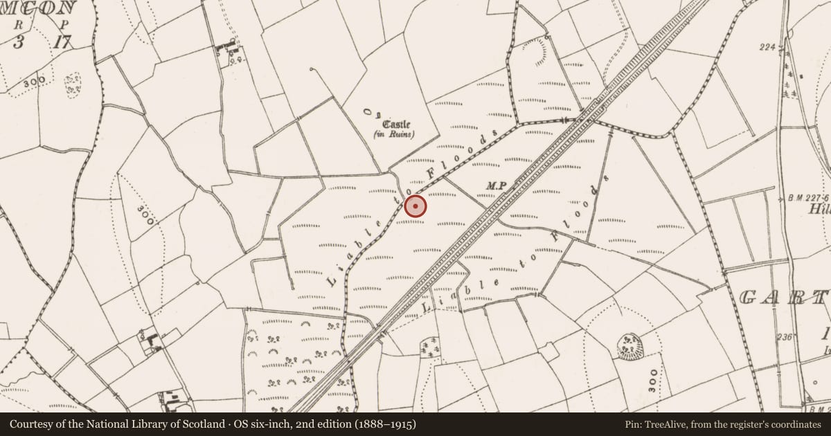 Ordnance Survey six-inch map, 2nd edition (1888–1915) covering the location of Crannog, Clonagonnell, County Cavan, with a pin at the register's coordinates