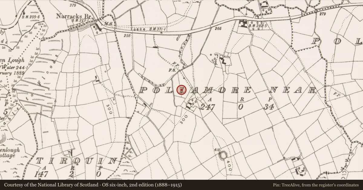 Ordnance Survey six-inch map, 2nd edition (1888–1915) covering the location of Burnt mound, Pollamore Near, County Cavan, with a pin at the register's coordinates