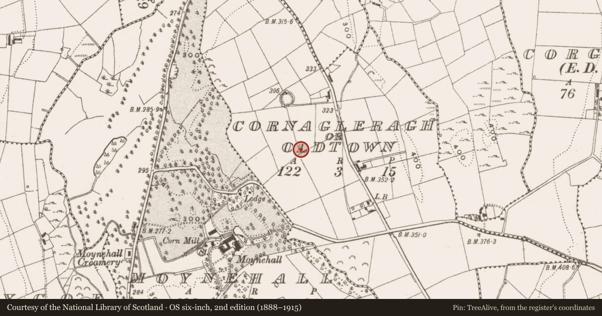 Ordnance Survey six-inch map, 2nd edition (1888–1915) covering the location of Fulacht fia, Cornagleragh Or Oldtown, County Cavan, with a pin at the register's coordinates
