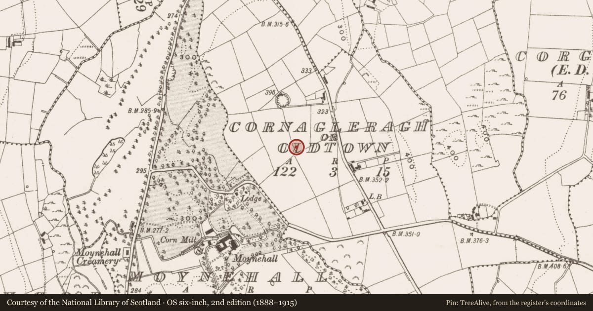 Ordnance Survey six-inch map, 2nd edition (1888–1915) covering the location of Burnt pit, Cornagleragh Or Oldtown, County Cavan, with a pin at the register's coordinates