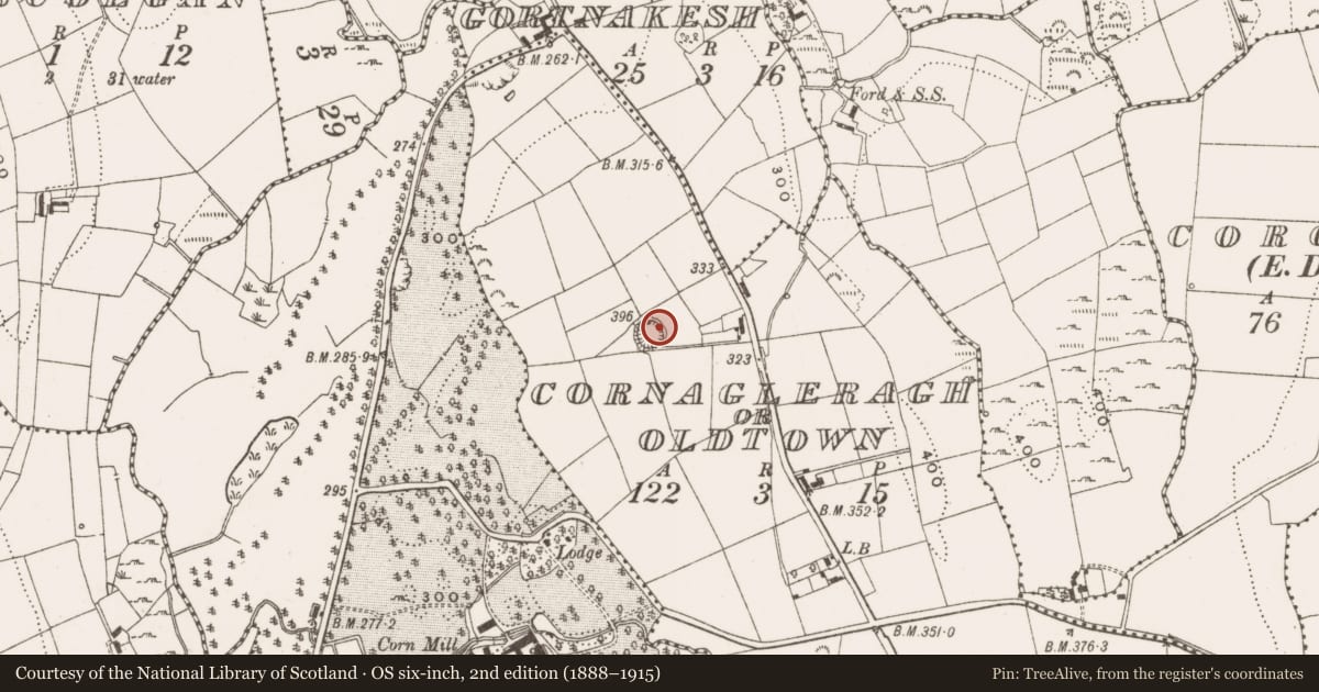 Ordnance Survey six-inch map, 2nd edition (1888–1915) covering the location of Excavation - miscellaneous, Cornagleragh Or Oldtown, County Cavan, with a pin at the register's coordinates