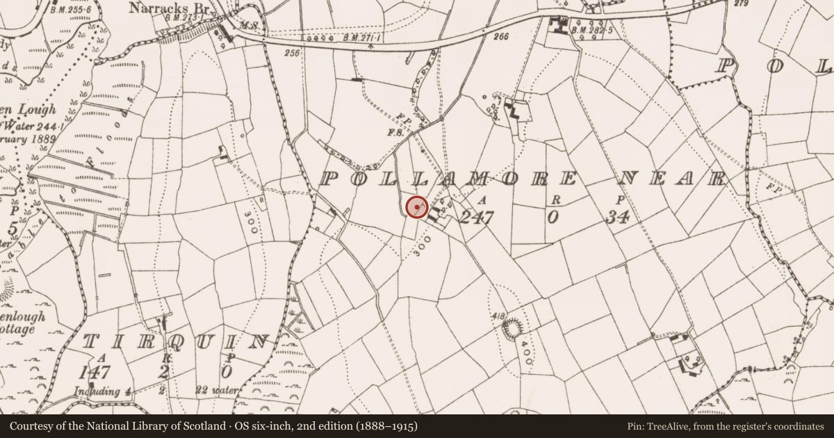 Ordnance Survey six-inch map, 2nd edition (1888–1915) covering the location of Burnt mound, Pollamore Near, County Cavan, with a pin at the register's coordinates