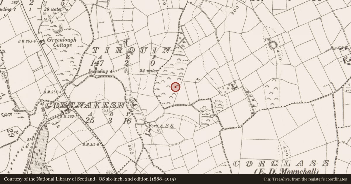 Ordnance Survey six-inch map, 2nd edition (1888–1915) covering the location of Fulacht fia, Tirquin, County Cavan, with a pin at the register's coordinates
