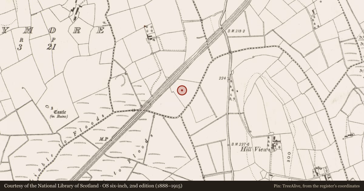 Ordnance Survey six-inch map, 2nd edition (1888–1915) covering the location of Enclosure, Drumconnick, County Cavan, with a pin at the register's coordinates