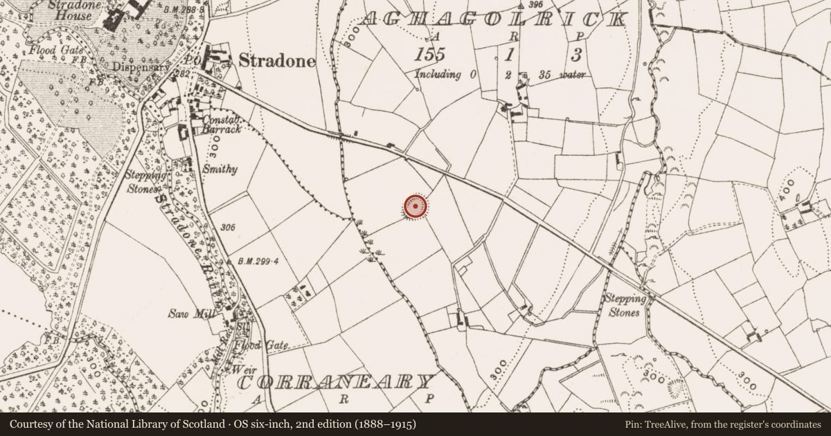 Ordnance Survey six-inch map, 2nd edition (1888–1915) covering the location of Ringfort - rath, Aghagolrick, County Cavan, with a pin at the register's coordinates