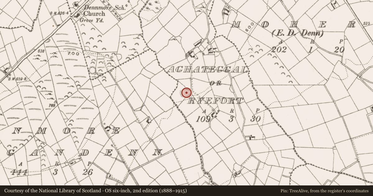 Ordnance Survey six-inch map, 2nd edition (1888–1915) covering the location of Ringfort - rath, Aghateggal Or Ryefort, County Cavan, with a pin at the register's coordinates