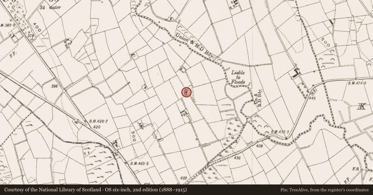 Ordnance Survey six-inch map, 2nd edition (1888–1915) covering the location of Ringfort - rath, Altbeagh, County Cavan, with a pin at the register's coordinates