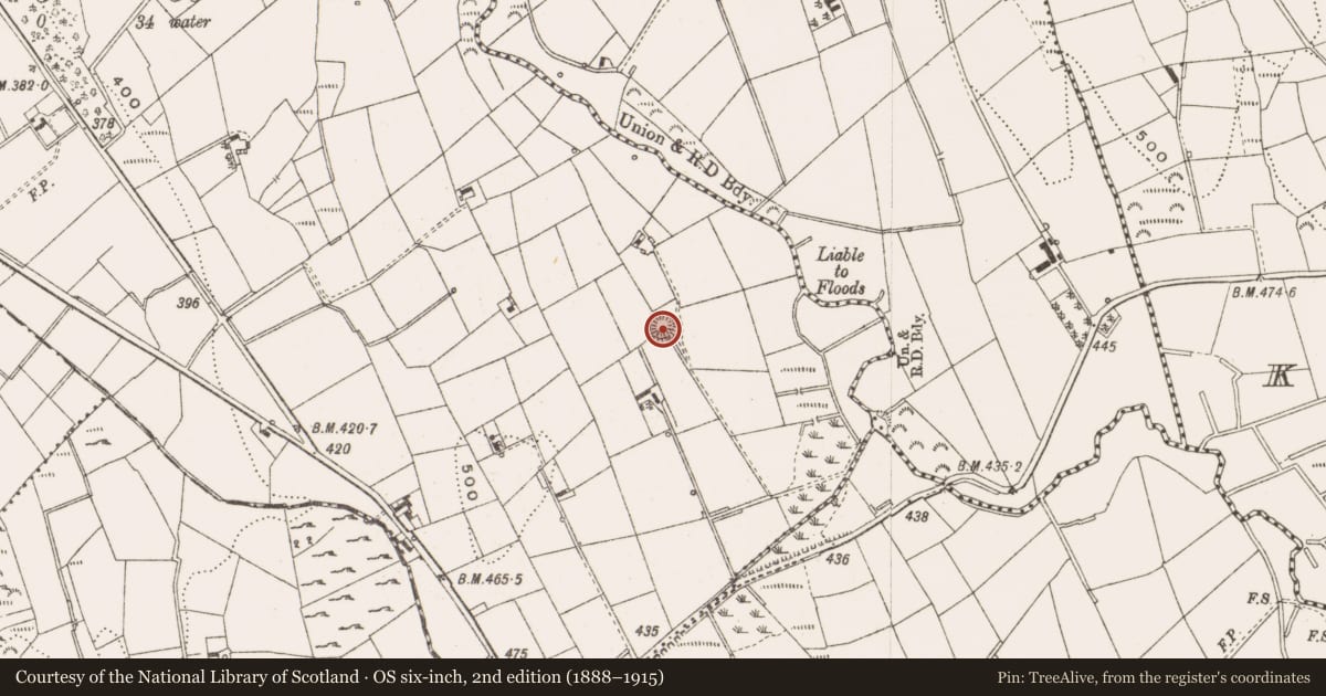 Ordnance Survey six-inch map, 2nd edition (1888–1915) covering the location of Souterrain, Altbeagh, County Cavan, with a pin at the register's coordinates