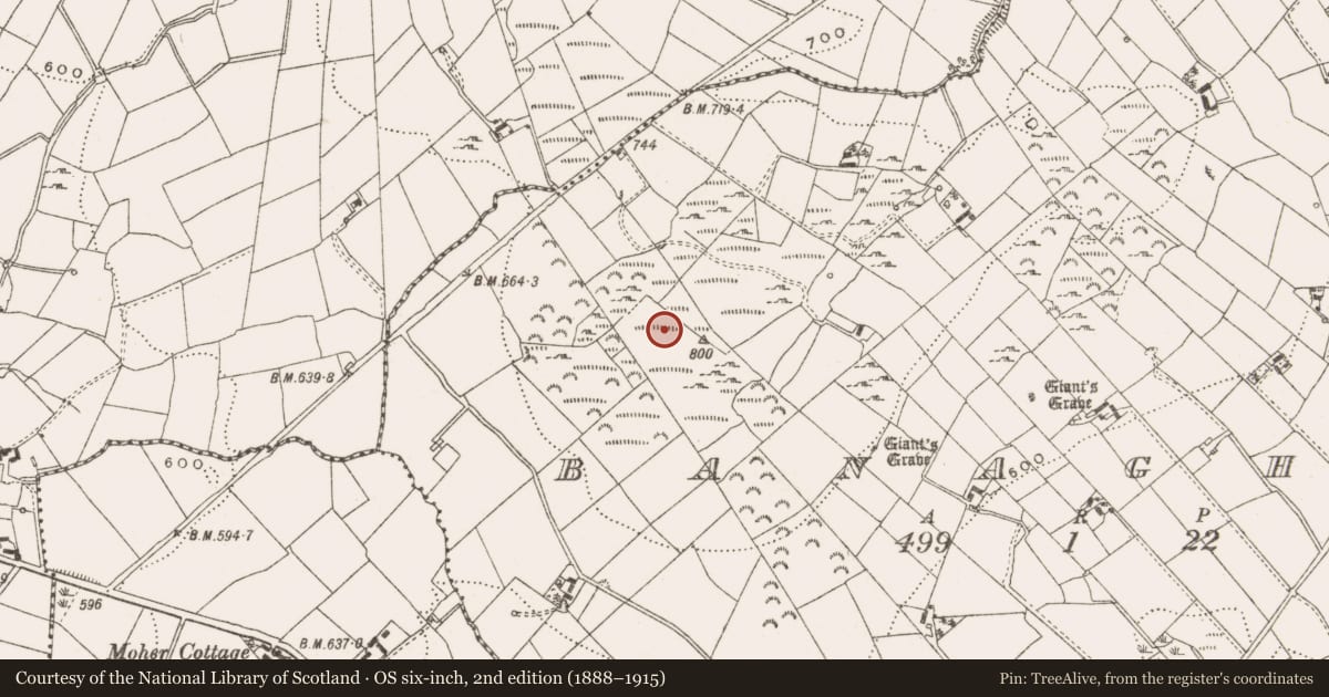 Ordnance Survey six-inch map, 2nd edition (1888–1915) covering the location of Stone circle, Banagher, County Cavan, with a pin at the register's coordinates