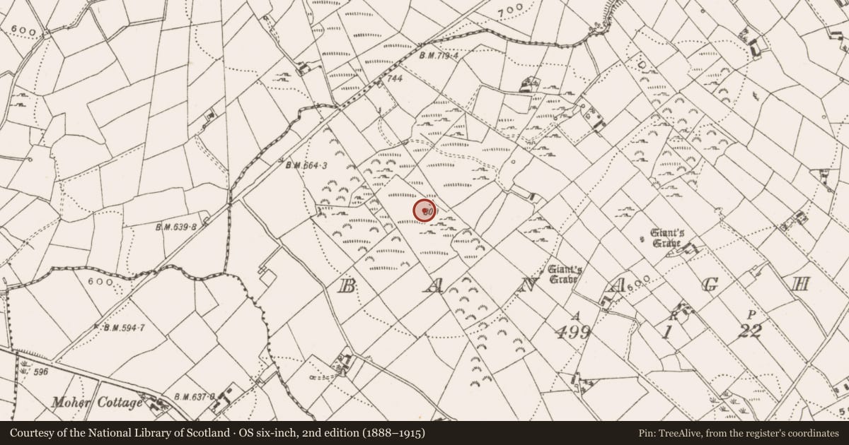Ordnance Survey six-inch map, 2nd edition (1888–1915) covering the location of Barrow - unclassified, Banagher, County Cavan, with a pin at the register's coordinates