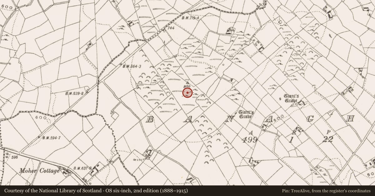 Ordnance Survey six-inch map, 2nd edition (1888–1915) covering the location of Stone circle, Banagher, County Cavan, with a pin at the register's coordinates