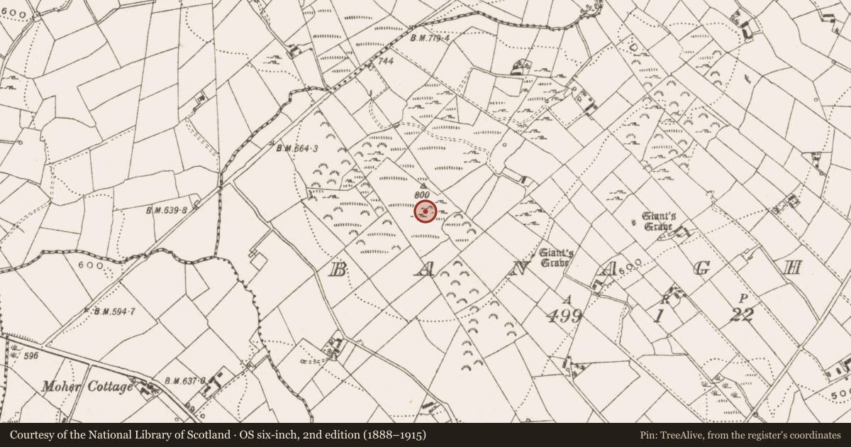 Ordnance Survey six-inch map, 2nd edition (1888–1915) covering the location of Megalithic tomb - passage tomb, Banagher, County Cavan, with a pin at the register's coordinates