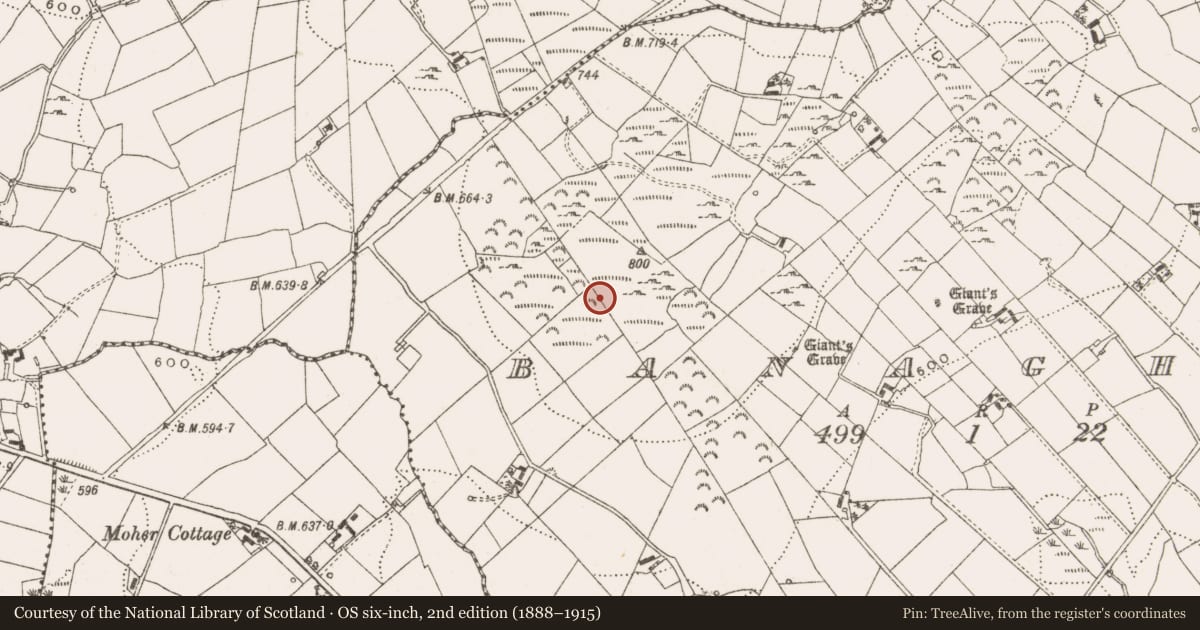 Ordnance Survey six-inch map, 2nd edition (1888–1915) covering the location of Barrow - unclassified, Banagher, County Cavan, with a pin at the register's coordinates