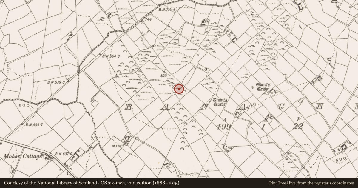 Ordnance Survey six-inch map, 2nd edition (1888–1915) covering the location of Enclosure, Banagher, County Cavan, with a pin at the register's coordinates