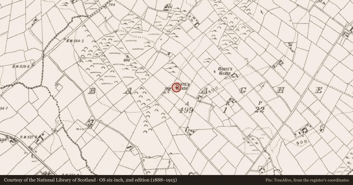 Ordnance Survey six-inch map, 2nd edition (1888–1915) covering the location of Megalithic tomb - court tomb, Banagher, County Cavan, with a pin at the register's coordinates