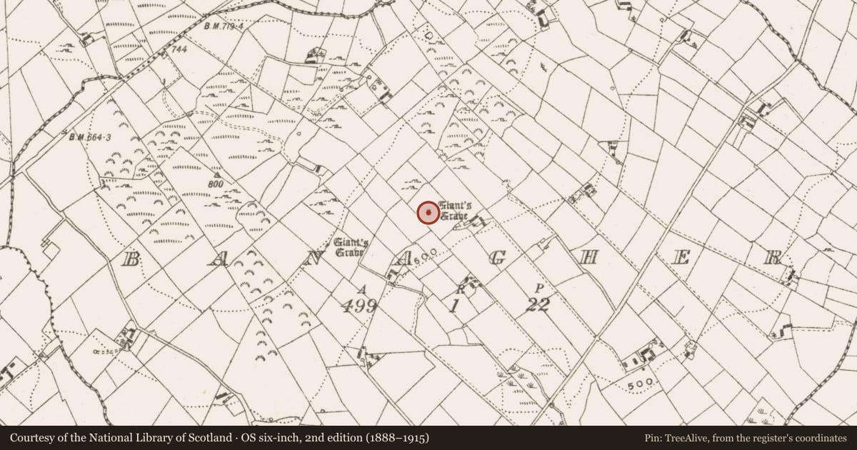 Ordnance Survey six-inch map, 2nd edition (1888–1915) covering the location of Megalithic tomb - portal tomb, Banagher, County Cavan, with a pin at the register's coordinates