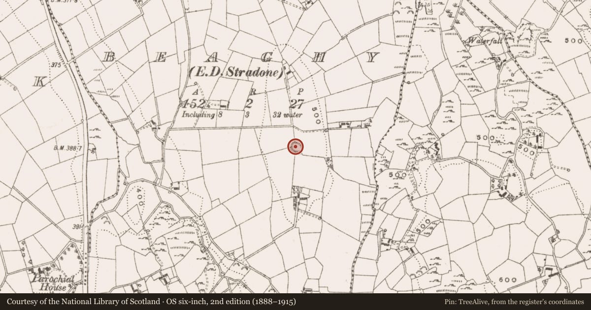 Ordnance Survey six-inch map, 2nd edition (1888–1915) covering the location of Ringfort - rath, Beaghy, County Cavan, with a pin at the register's coordinates