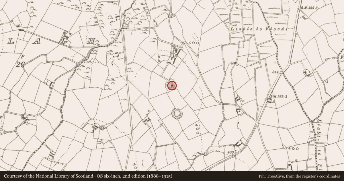 Ordnance Survey six-inch map, 2nd edition (1888–1915) covering the location of Ringfort - rath, Cargagh, County Cavan, with a pin at the register's coordinates