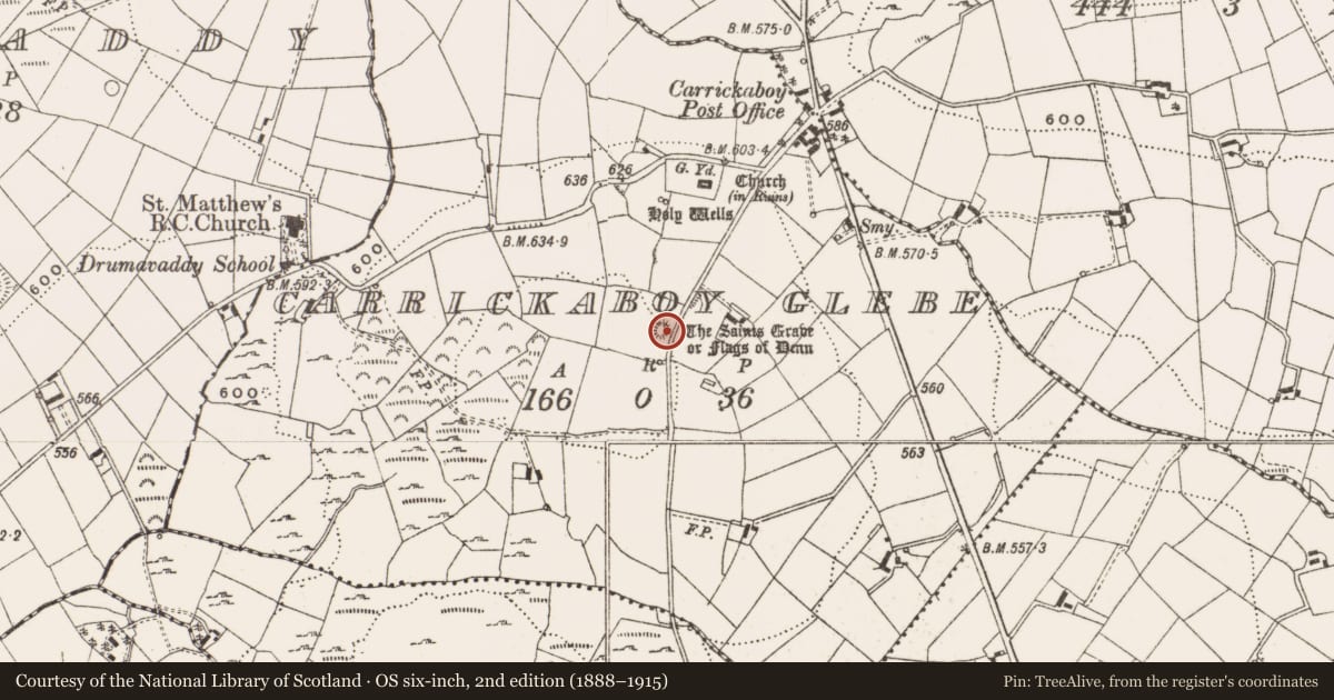 Ordnance Survey six-inch map, 2nd edition (1888–1915) covering the location of Barrow - unclassified, Carrickaboy Glebe, County Cavan, with a pin at the register's coordinates