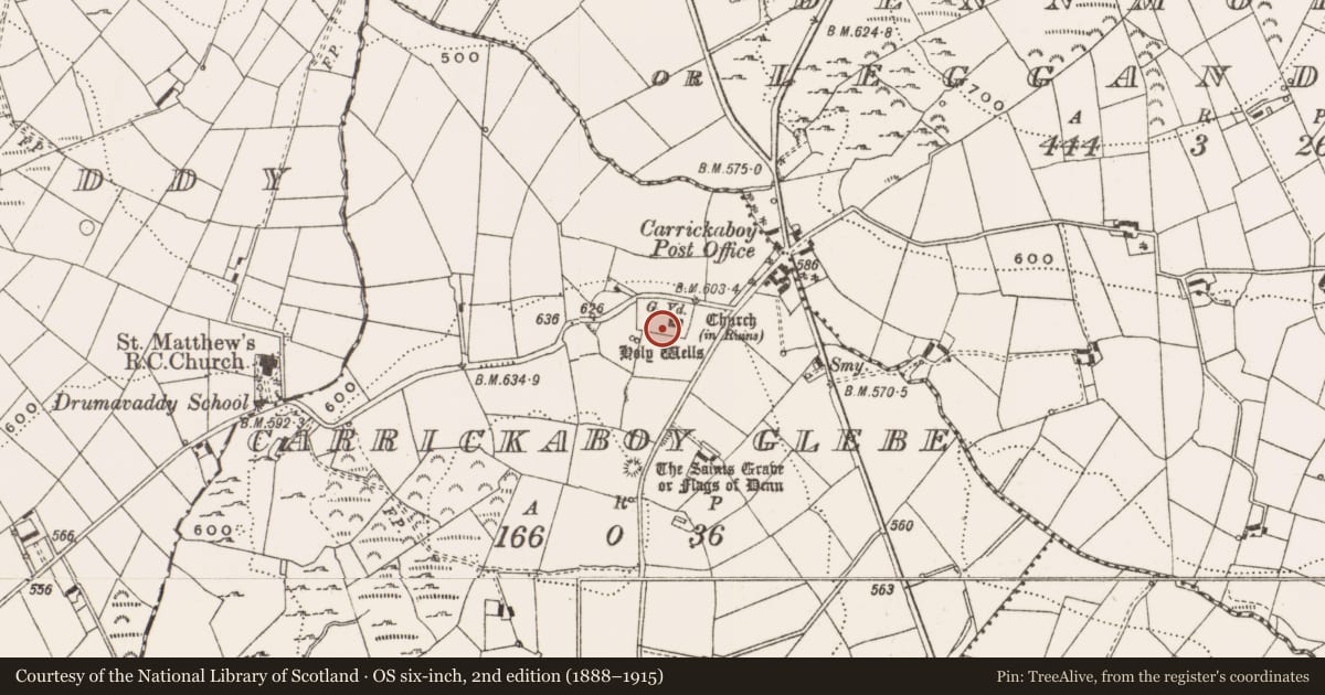 Ordnance Survey six-inch map, 2nd edition (1888–1915) covering the location of Cross-slab, Carrickaboy Glebe, County Cavan, with a pin at the register's coordinates