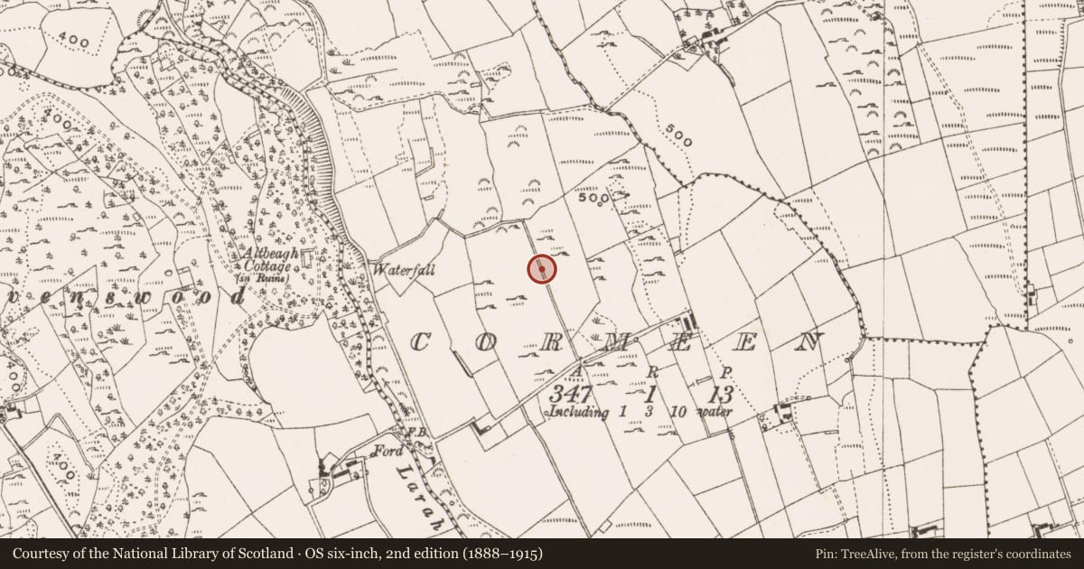 Ordnance Survey six-inch map, 2nd edition (1888–1915) covering the location of Standing stone, Cormeen, County Cavan, with a pin at the register's coordinates