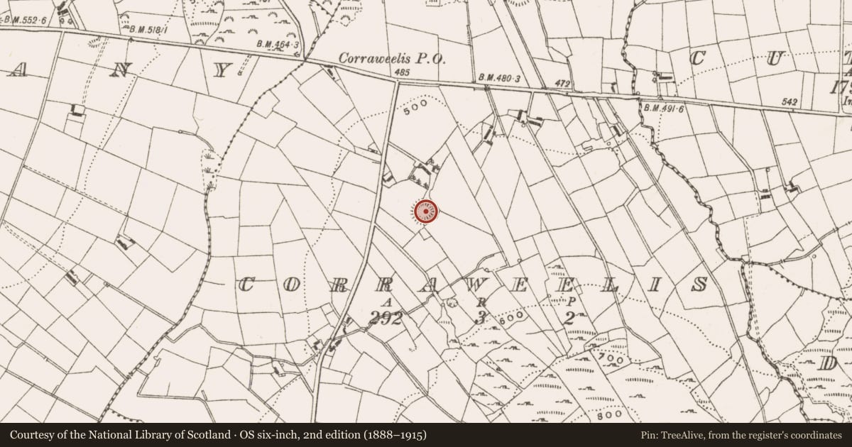 Ordnance Survey six-inch map, 2nd edition (1888–1915) covering the location of Ringfort - rath, Corraweelis, County Cavan, with a pin at the register's coordinates