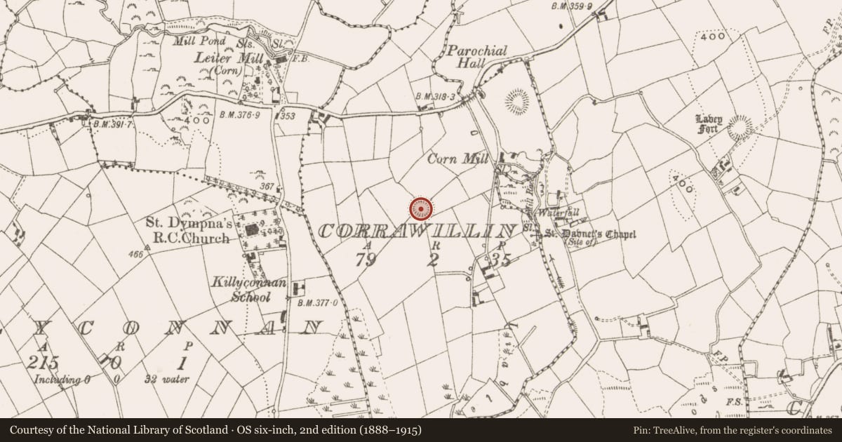 Ordnance Survey six-inch map, 2nd edition (1888–1915) covering the location of Ringfort - rath, Corrawillin, County Cavan, with a pin at the register's coordinates