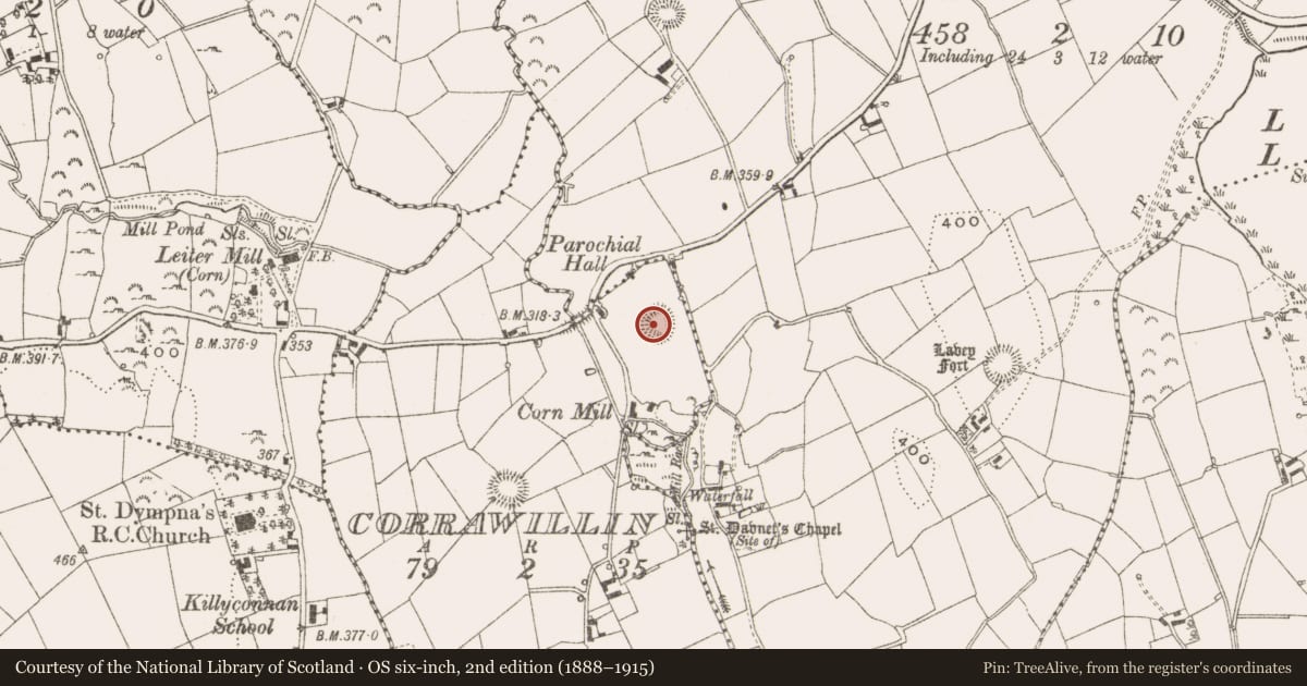 Ordnance Survey six-inch map, 2nd edition (1888–1915) covering the location of Ringfort - rath, Corrawillin, County Cavan, with a pin at the register's coordinates