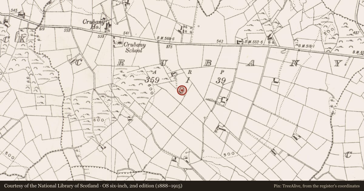 Ordnance Survey six-inch map, 2nd edition (1888–1915) covering the location of Ringfort - rath, Crubany, County Cavan, with a pin at the register's coordinates