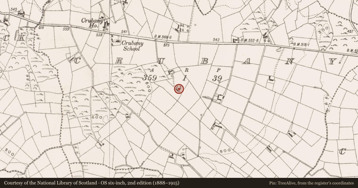 Ordnance Survey six-inch map, 2nd edition (1888–1915) covering the location of Well, Crubany, County Cavan, with a pin at the register's coordinates