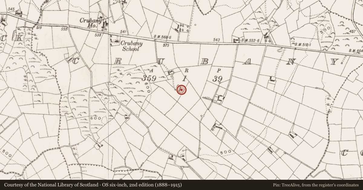Ordnance Survey six-inch map, 2nd edition (1888–1915) covering the location of Well, Crumlin, County Cavan, with a pin at the register's coordinates