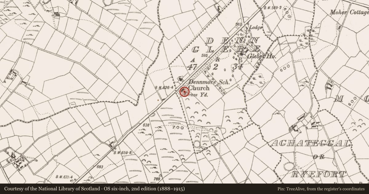 Ordnance Survey six-inch map, 2nd edition (1888–1915) covering the location of Stone sculpture, Denn Glebe, County Cavan, with a pin at the register's coordinates