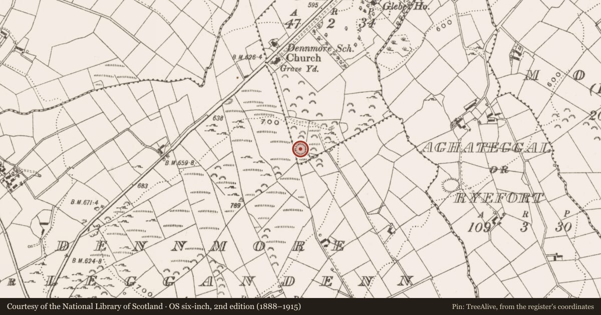 Ordnance Survey six-inch map, 2nd edition (1888–1915) covering the location of Ringfort - rath, Denn Glebe, County Cavan, with a pin at the register's coordinates
