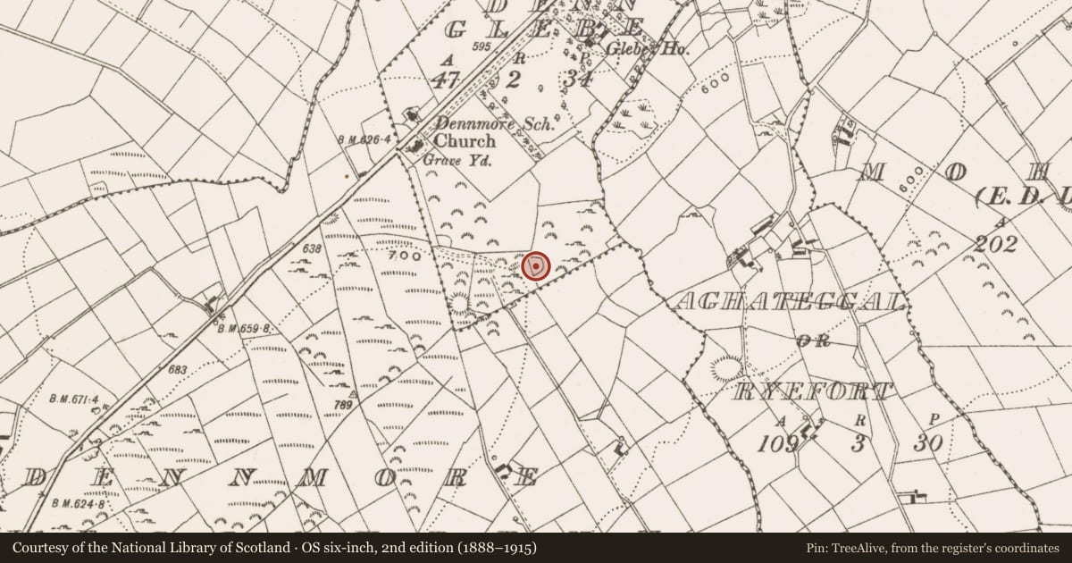 Ordnance Survey six-inch map, 2nd edition (1888–1915) covering the location of Ringfort - unclassified, Denn Glebe, County Cavan, with a pin at the register's coordinates