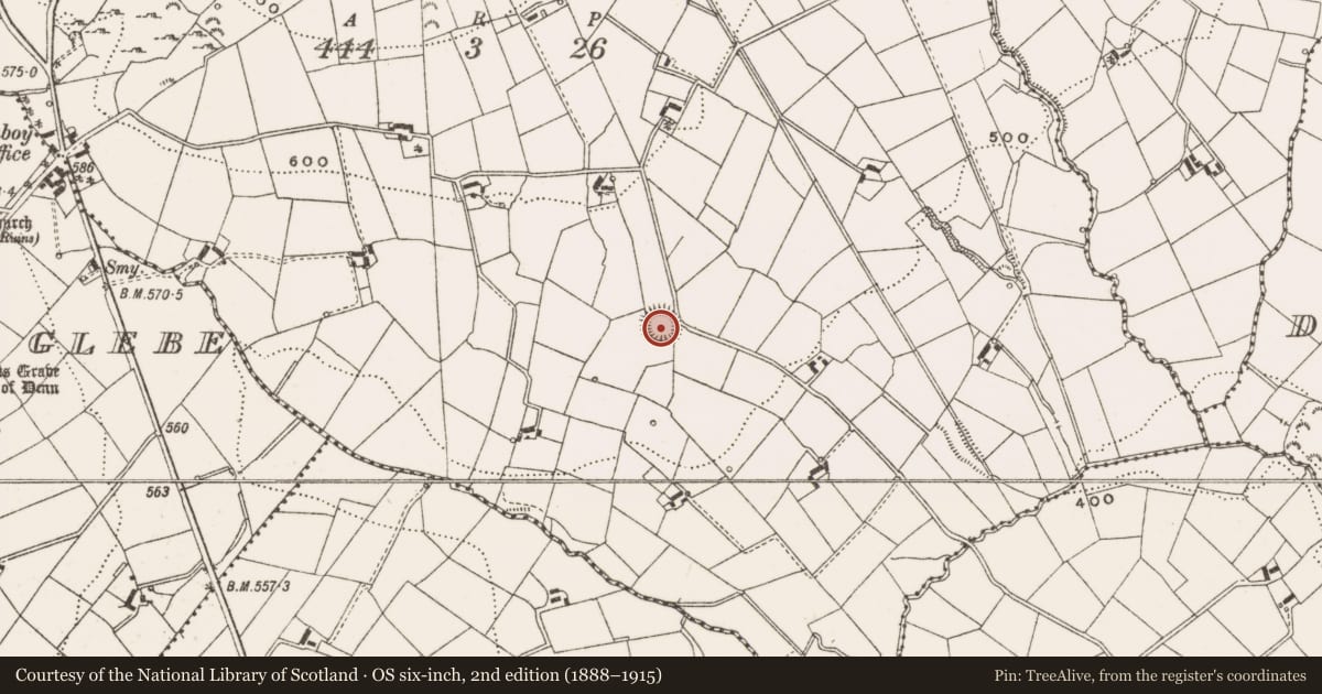 Ordnance Survey six-inch map, 2nd edition (1888–1915) covering the location of Ringfort - rath, Dennmore Or Leggandenn, County Cavan, with a pin at the register's coordinates