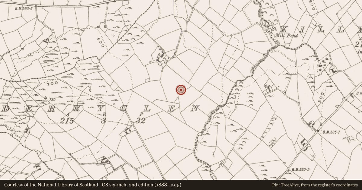 Ordnance Survey six-inch map, 2nd edition (1888–1915) covering the location of Ringfort - rath, Derryglen, County Cavan, with a pin at the register's coordinates