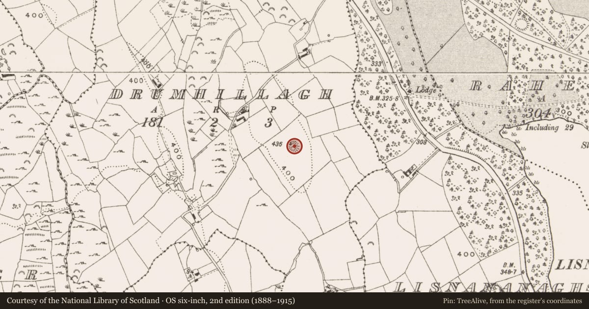 Ordnance Survey six-inch map, 2nd edition (1888–1915) covering the location of Ringfort - rath, Drumhillagh, County Cavan, with a pin at the register's coordinates