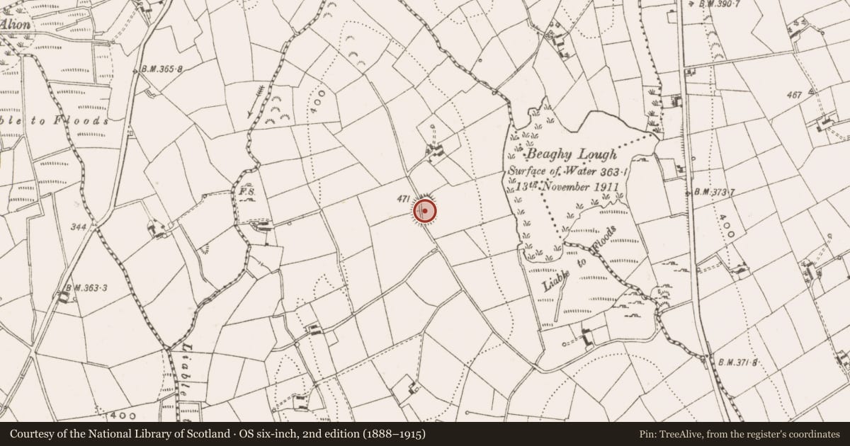 Ordnance Survey six-inch map, 2nd edition (1888–1915) covering the location of Ringfort - rath, Drumhirk, County Cavan, with a pin at the register's coordinates