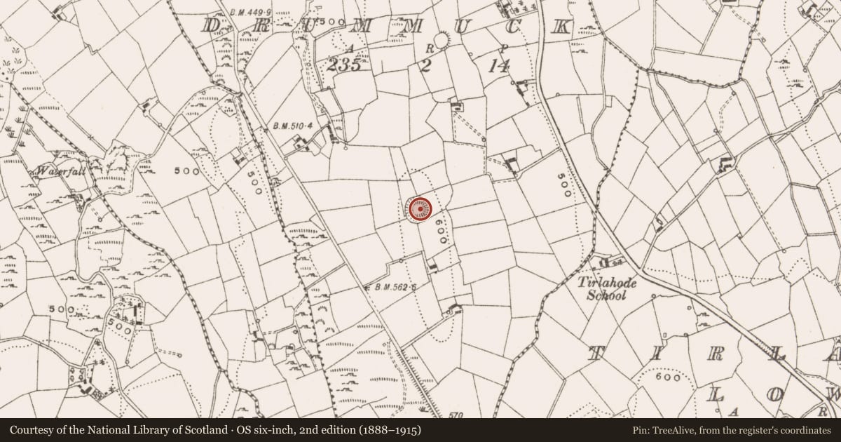 Ordnance Survey six-inch map, 2nd edition (1888–1915) covering the location of Souterrain, Drummuck, County Cavan, with a pin at the register's coordinates