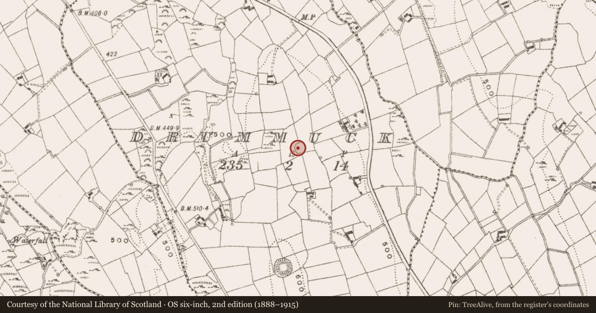 Ordnance Survey six-inch map, 2nd edition (1888–1915) covering the location of Ringfort - rath, Drummuck, County Cavan, with a pin at the register's coordinates