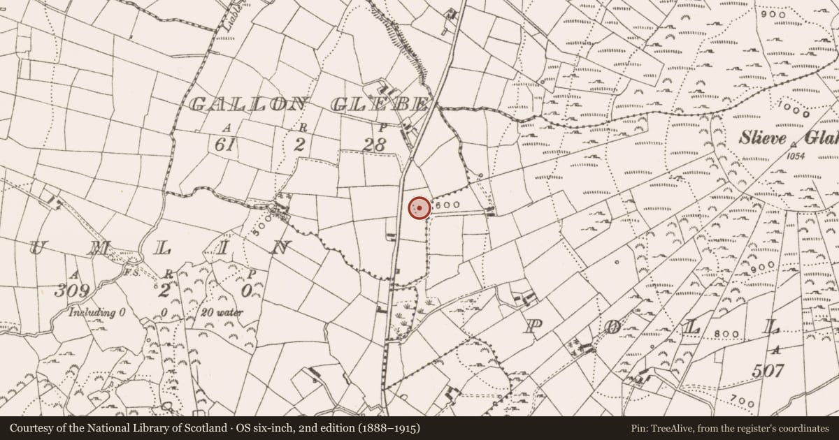 Ordnance Survey six-inch map, 2nd edition (1888–1915) covering the location of Ringfort - rath, Gallon Glebe, County Cavan, with a pin at the register's coordinates