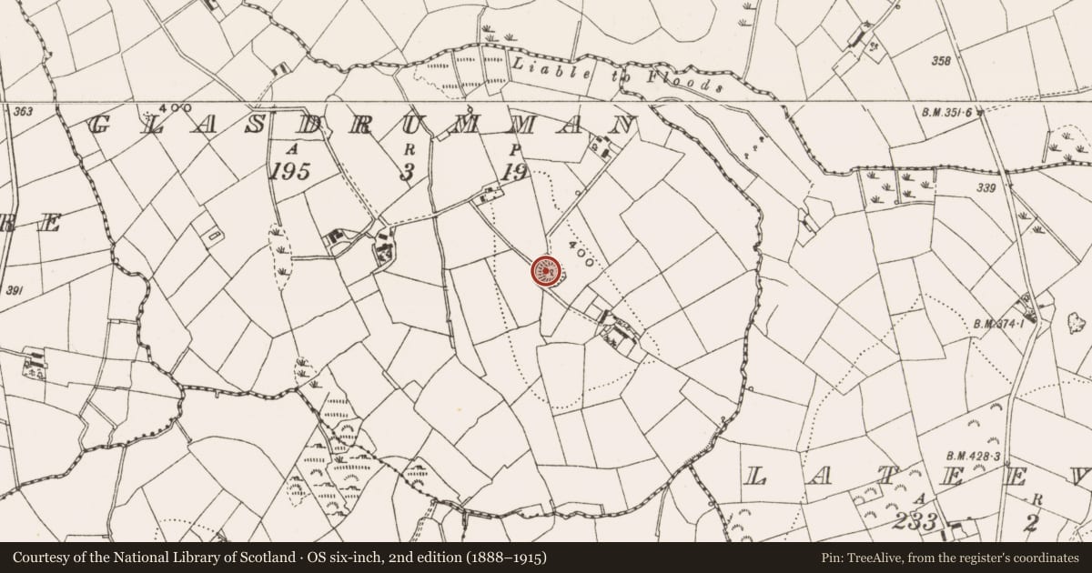 Ordnance Survey six-inch map, 2nd edition (1888–1915) covering the location of Ringfort - rath, Glasdrumman, County Cavan, with a pin at the register's coordinates