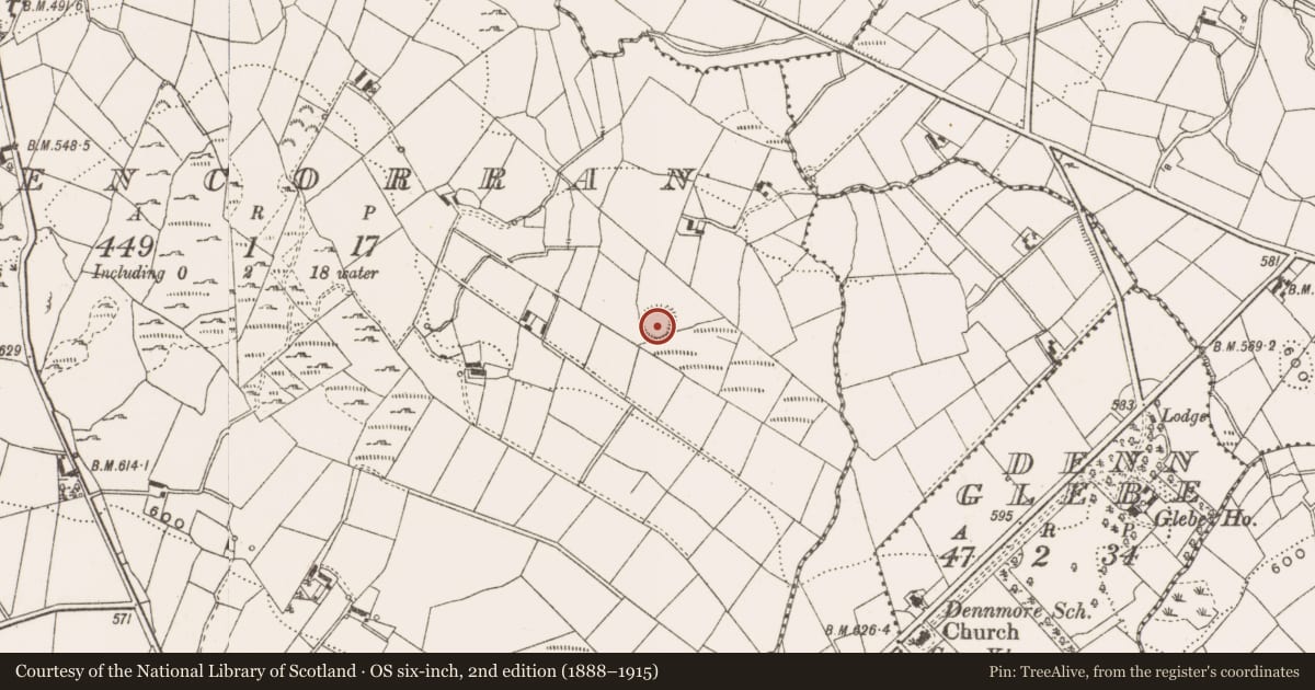 Ordnance Survey six-inch map, 2nd edition (1888–1915) covering the location of Ringfort - rath, Glencorran, County Cavan, with a pin at the register's coordinates