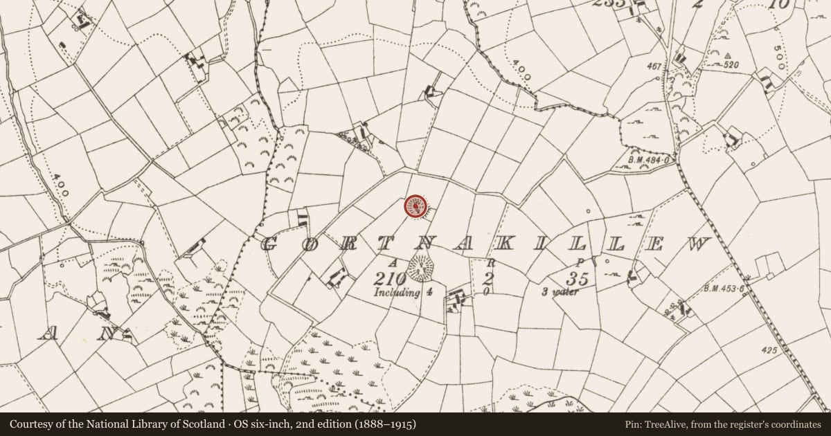 Ordnance Survey six-inch map, 2nd edition (1888–1915) covering the location of Ringfort - rath, Gortnakillew, County Cavan, with a pin at the register's coordinates