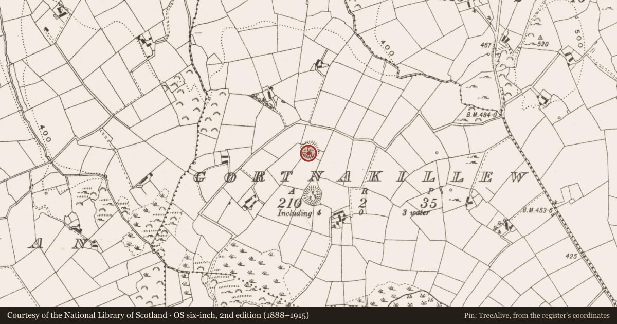 Ordnance Survey six-inch map, 2nd edition (1888–1915) covering the location of Souterrain, Gortnakillew, County Cavan, with a pin at the register's coordinates