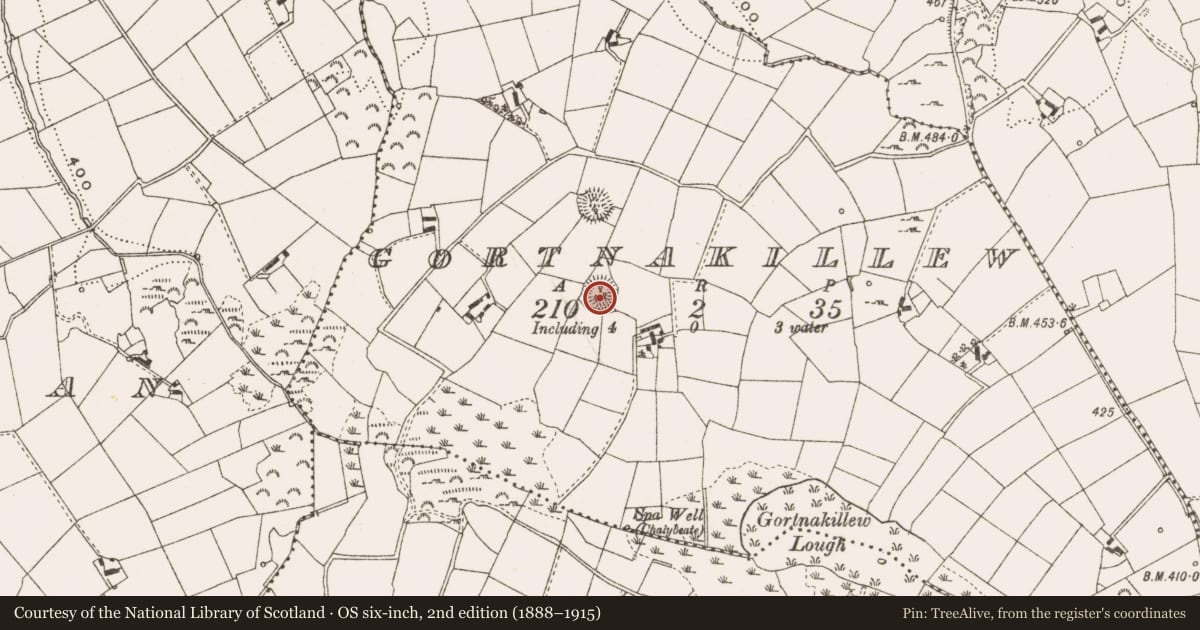 Ordnance Survey six-inch map, 2nd edition (1888–1915) covering the location of Ringfort - rath, Gortnakillew, County Cavan, with a pin at the register's coordinates